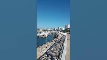 سورة آل عمران #الشيخ_سعود_الشريم #متابعين #اكسبلور #تيك_توك #نوها #الداخله #duet #بحر #ترند #love