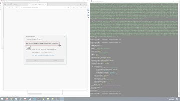 PKIaaS.IO Certificate Renewal Demo with mTLS Authentication