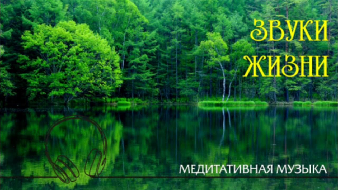 Счастливый человек в наушниках. Звуки леса. Звуки жизни телефон. Звуки жизни телефон. Звуки жизни телефон.