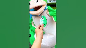 Ếch xanh này lạ quá #cute