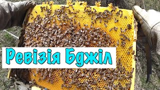 Бджільництво Весна 2022 🐝