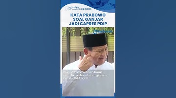 Kata Prabowo soal Ganjar Jadi Capres PDIP: Sah dalam Demokrasi