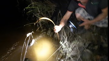 Cắm câu đằng trước dính đằng sau và nướng trui lai rai trong đêm.Catch the countryside