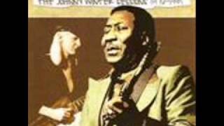 Video thumbnail of "Muddy Waters & Johnny Winter / I Can't Be Satisfied"
