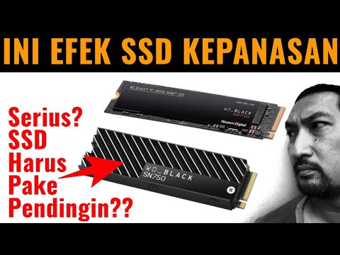 SSD Harus Pakai Pendingin? Review WD Black SN750 NVME 1TB (dengan Heatsink) - Indonesia