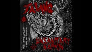Jalang / Unsanitary Napkin - Split LP