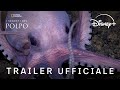 I Segreti del Polpo | Trailer Ufficiale | Dal 22 Aprile | Disney+