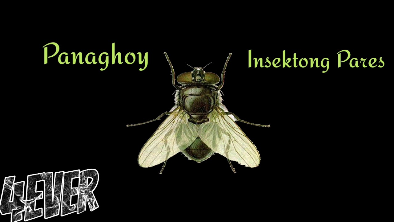 Panaghoy - Insektong pares