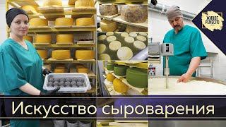 Искусство сыроварения. Живое ремесло XXI век