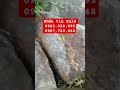 Tét baton 511 #3ton .quan tâm like đăng ký kienh theo dõi shop