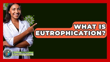 What Is Eutrophication? - Earth Science Answers