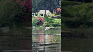 Slow motion timber landing