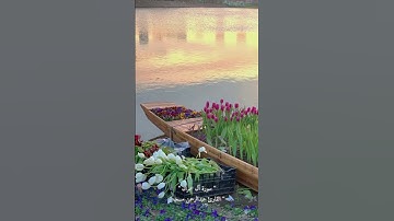 [سورة آل عمران ♡] #سورة_آل_عمران #تذكير #القرآن_الكريم #قرآن #عبدالرحمن_مسعد #قران #اذكار #الحمدلله