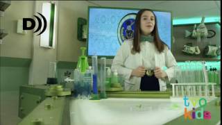 Tvo Kids Described Video Disclaimer - Odd Squad Themed