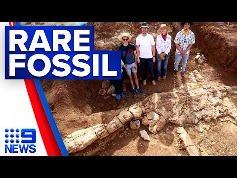 Scientists uncover 100 million-year-old fossil in queensland | 9 news australia