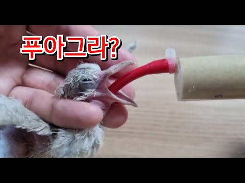 ผลสลากกินแบ่งรัฐบาล วันที่ 1 พย. 2567
