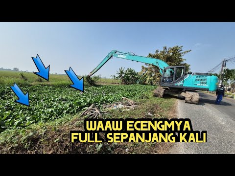 REKOR 1❗️MENGGILA SAMPAH ECENGNYA FULL SEPANJANG KALI❗️