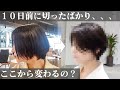 『10日前にショートカット』したばかりの方を1.5cmカット変身!