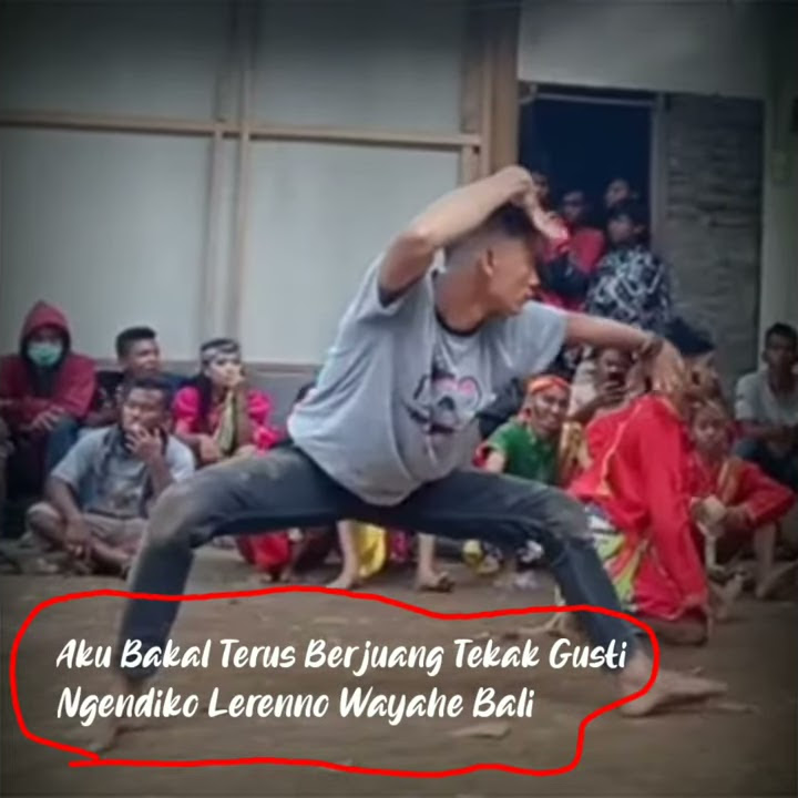 Story whatsapp Kuda lumping/jarang kepang || Status wa kuda lumping