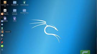 Module 14 - Hacking Web Application