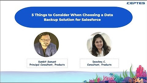 5 Things to Consider When Choosing a Data Backup Solution for Salesforce