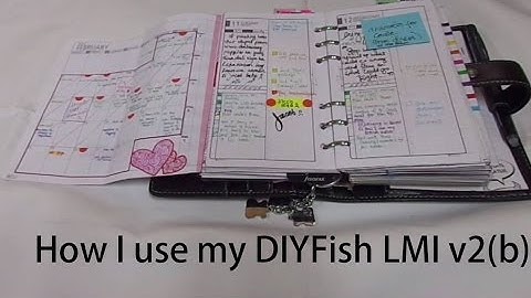 How I use my DIYFish LMI v2(b)