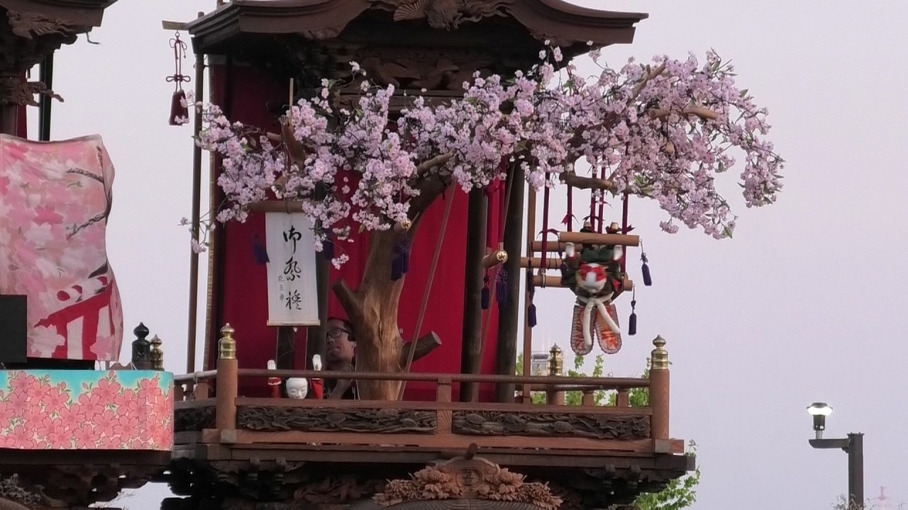 亀崎潮干祭 後の日 2026年5月5日 西組花王車上山人形「桜花唐子遊び