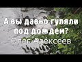 Стихотворение &quot;А Вы давно гуляли под дождем?&quot; - Олег Алексеев