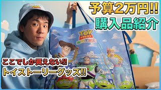 東京ディズニーリゾート・トイ・ストーリーホテルのグッズの購入品紹介【ディズニーホテル】