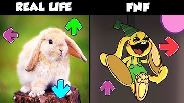 FNF Character Test | Gameplay VS Real Life | Bunzo Bunny (Poppy Playtime 2)