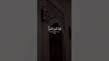 القارئ | عبدالرحمن مسعد🖤 سورة | النبأ #قرآن 🎧
