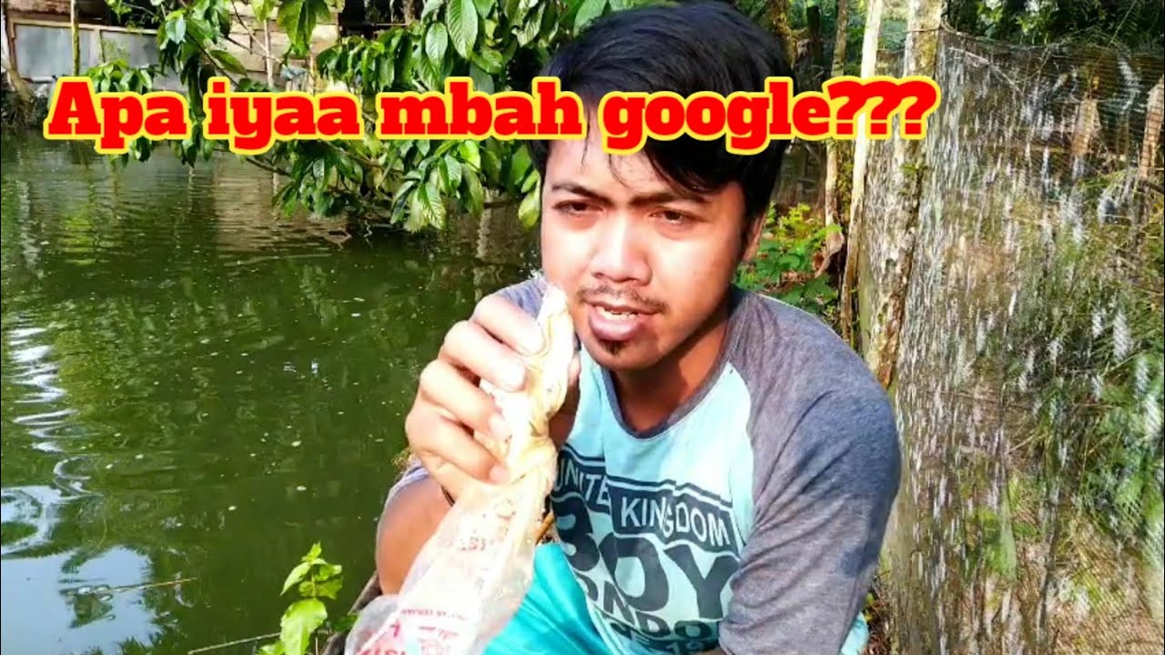 Tes umpan mancing ikan tembakang susah makan dari mbah google Eps.1