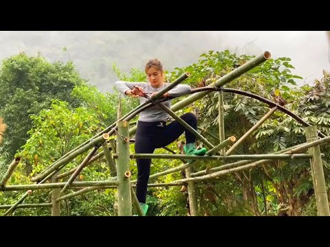 FULL VIDEO Beautiful Girl Builds Bamboo House Alone In The Forest 