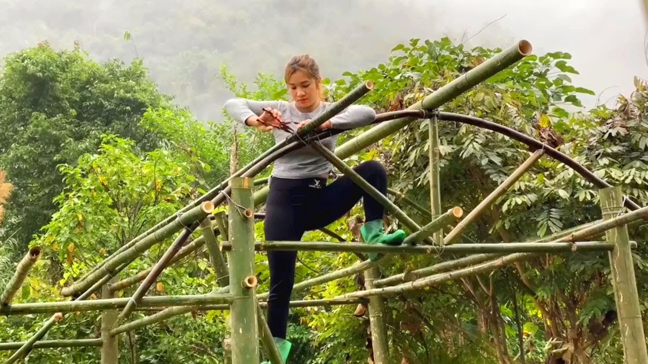 FULL VIDEO : Beautiful girl builds bamboo house alone in the forest