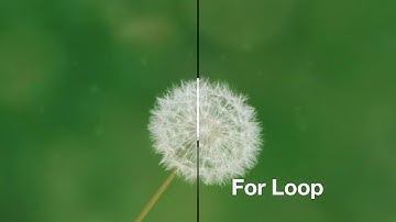 For Dongusu | C Programlama - 5