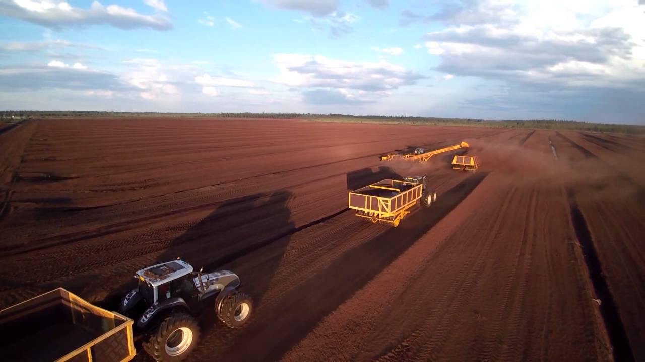 Turpeen nostoa, Peuraneva Rantsila