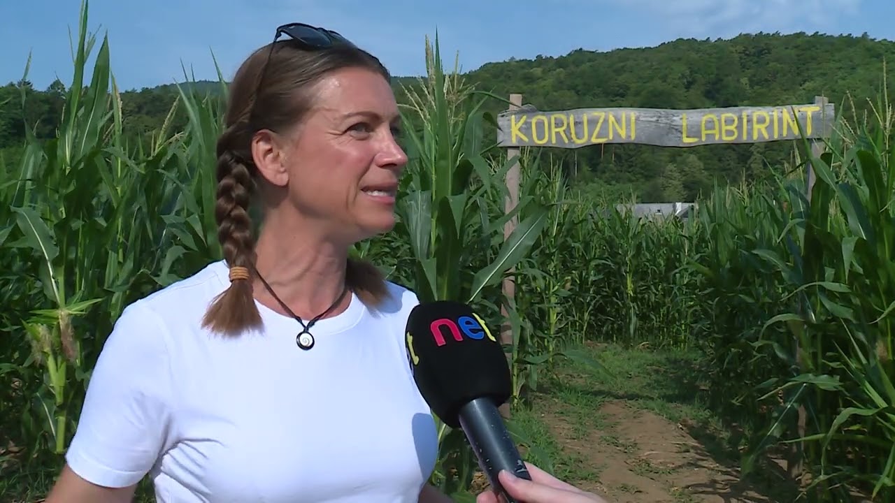 Regionalno, Maribor: Preizkusite svojo orientacijo v koruznem labirintu