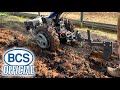 Ripping compacted soil with the subsoiler attachment for bcs twowheel tractors