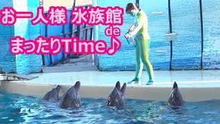 『新江ノ島水族館』午後の まったりTime♪ （2022/07/22）