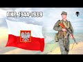 Стрелковое оружие армии Польши в Холодной войне