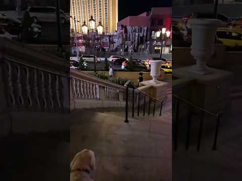 Woman wins $2 million on $3 bet at Vegas casino