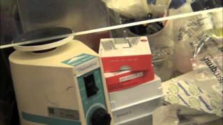 Probes