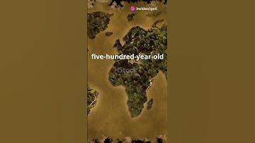 The Piri Reis Map: 🗺️✨ A 500-Year-Old Enigma🔍❓#acienthistory#history#HistoryUncovered#map#antarctica