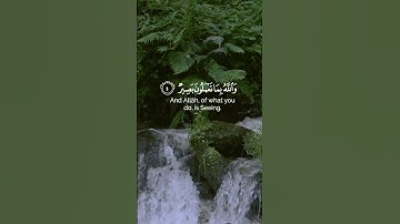 قراءة من سورة حديد للقارىء شريف مصطفى #قران_كريم #قرآن #holyquran #quran #shortvideo