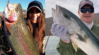 Rufus Woods Triploids & Baja Yellowtail