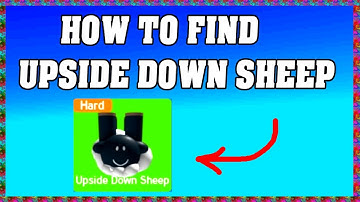 How To Find UPSIDE DOWN SHEEP in FIND THE SHEEP ROBLOX 🐑