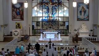 FOURTEENTH SUNDAY IN ORDINARY TIME