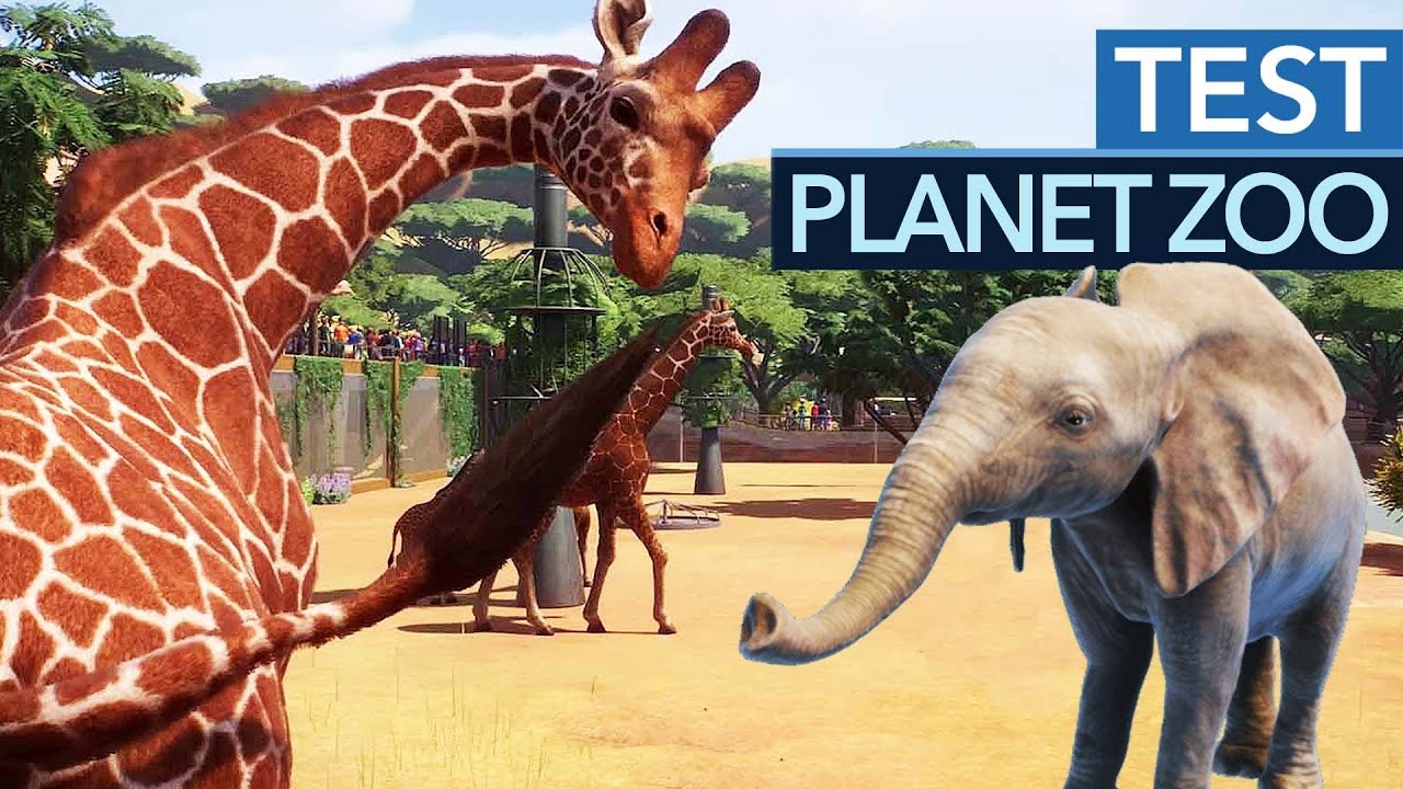 planet zoo review planet zoo review