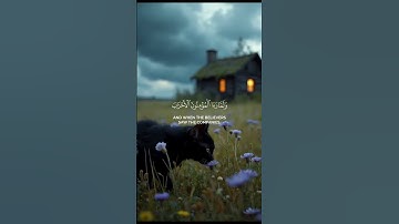 لقد كان لكم في رسول الله أسوة حسنة || تلاوة هادئة 🌿 للقارئ #بدر_التركي ارح سمعك 🖤🎧🤍