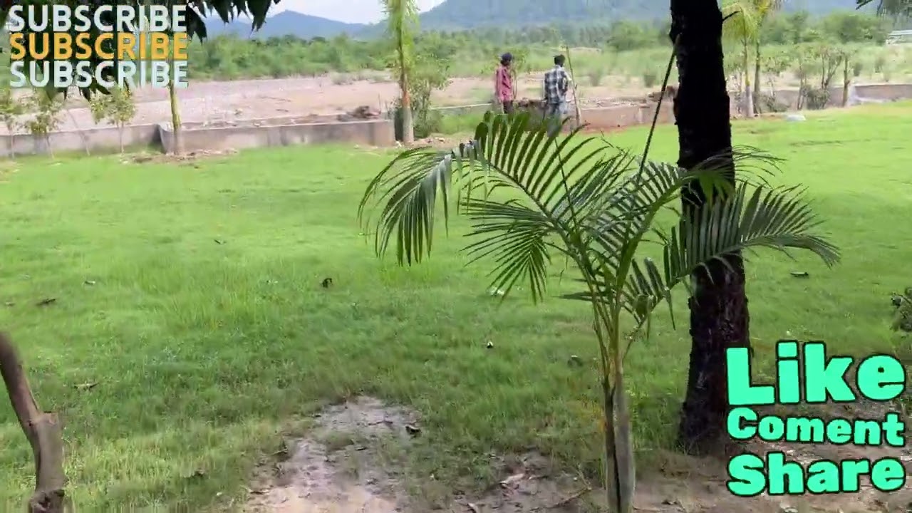 #fun #freinds #masti  #corbett #ramnagar #uttrakhand #enjoy